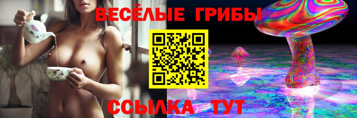 Галлюциногенные грибы MAGIC MUSHROOMS  Вход с VPN  Морозовск  Галлюциногенные грибы Psilocybine cubensis 