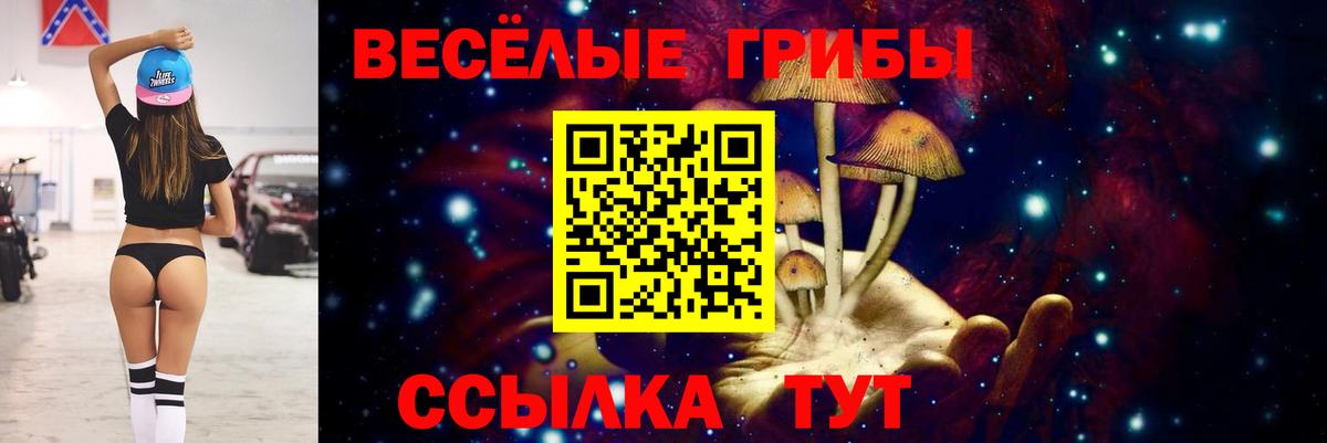 Галлюциногенные грибы прущие грибы Морозовск