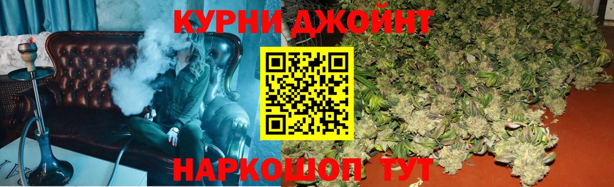 Конопля сатива Морозовск